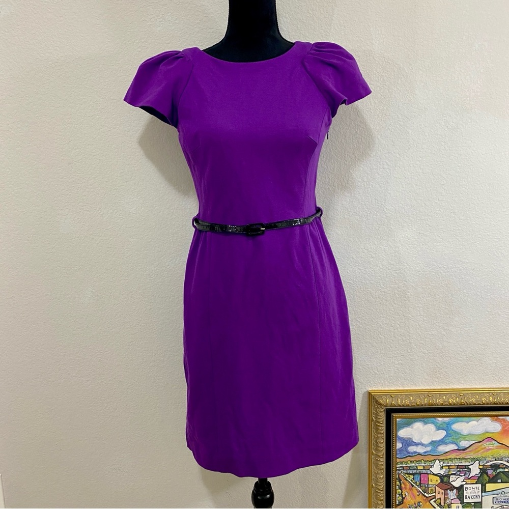 Milly of NY‎ Purple Dress with Black Belt, Viscose Blend, Size Medium, Classic